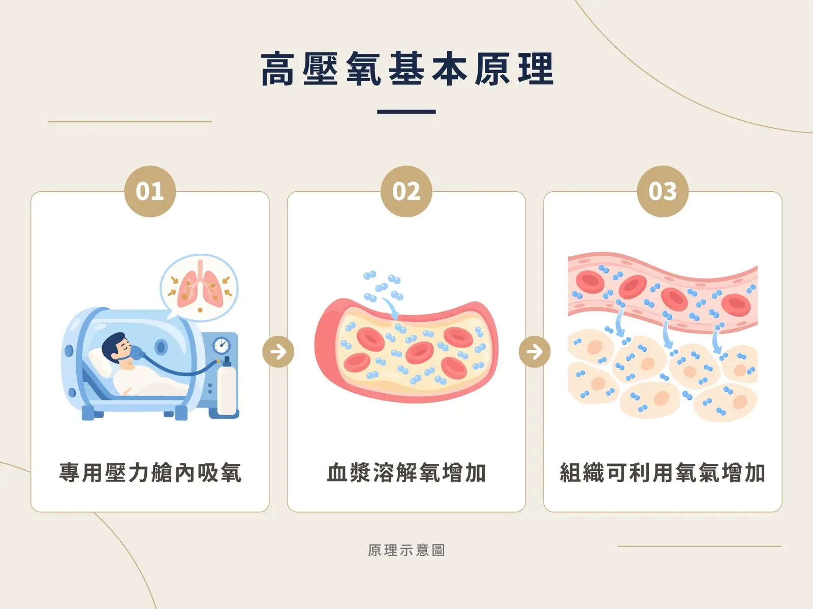 高壓氧加壓吸氧與血漿溶解氧增加，原理示意圖。